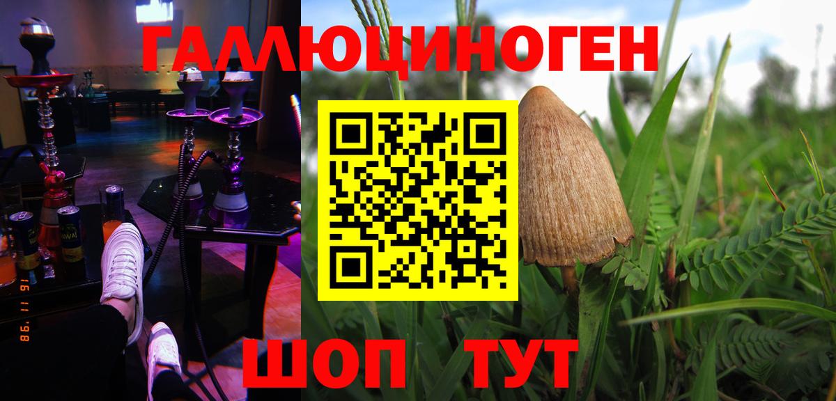 продажа наркотиков  Вход с VPN  Сызрань  Галлюциногенные грибы Psilocybine cubensis 